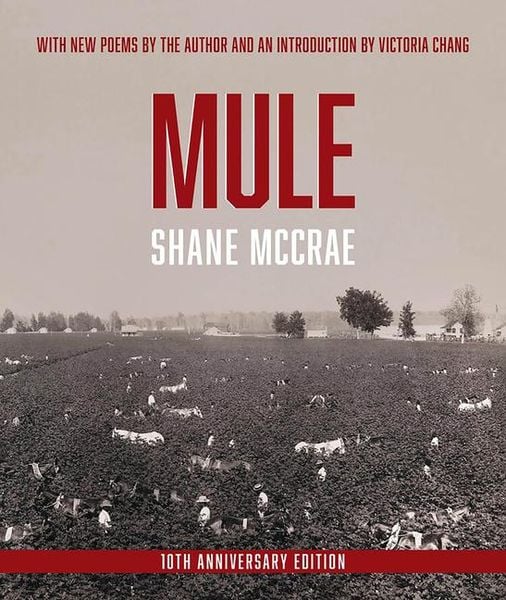 Produktbild: Mule