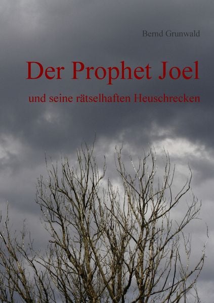 Produktbild: Der Prophet Joel