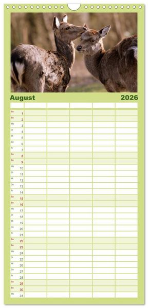Produktbild: Familienplaner 2026 - Hirsche - K&ouml;nige des Waldes mit 5 Spalten (Wandkalender, 21 x 45 cm) CALVENDO