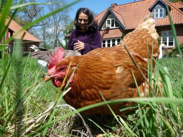 Produktbild: Landleben