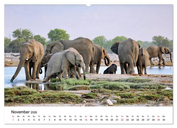 Produktbild: Namibias Elefanten (hochwertiger Premium Wandkalender 2026 DIN A2 quer), Kunstdruck in Hochglanz
