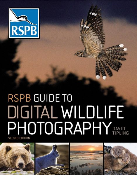 Produktbild: RSPB Guide to Digital Wildlife Photography
