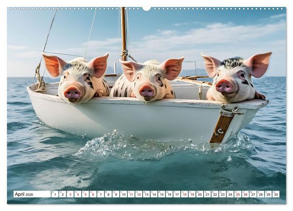 Produktbild: Schwimmende Schweine im Paradies (Wandkalender 2026 DIN A2 quer), CALVENDO Monatskalender