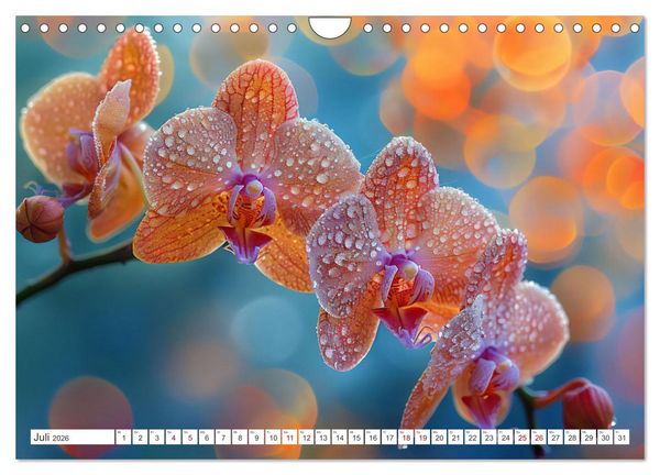 Produktbild: Orchideen - farbenfroh durchs Jahr (Wandkalender 2026 DIN A4 quer), CALVENDO Monatskalender