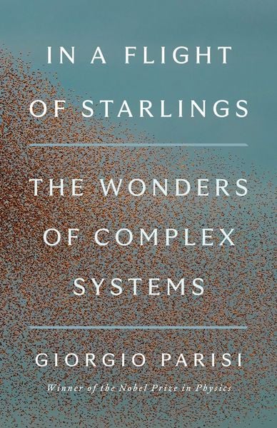 Produktbild: In a Flight of Starlings