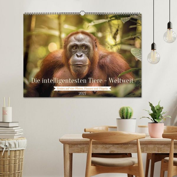 Produktbild: Die intelligentesten Tiere - Weltweit (Wandkalender 2027 DIN A2 quer), CALVENDO Monatskalender