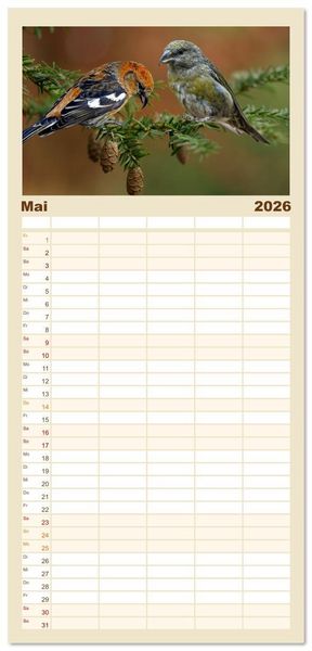 Produktbild: Familienplaner 2026 - Deutschlands Finken mit 5 Spalten (Wandkalender, 21 x 45 cm) CALVENDO