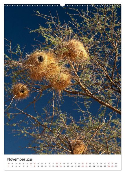 Produktbild: Naturparadies Namibia (Wandkalender 2026 DIN A2 hoch), CALVENDO Monatskalender