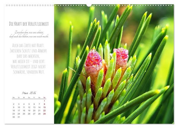 Produktbild: Was uns tr&auml;gt, wenn alles wankt. &Uuml;ber das Wachsen an Krisen (hochwertiger Premium Wandkalender 2026 DIN A2 quer), Kunstdruck in Hochglanz