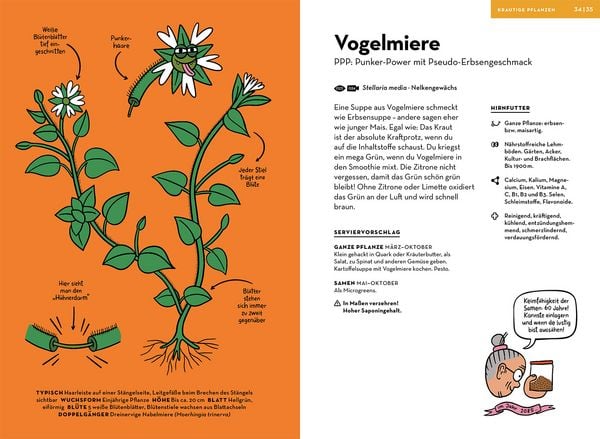 Produktbild: Wilde Pflanzen essen