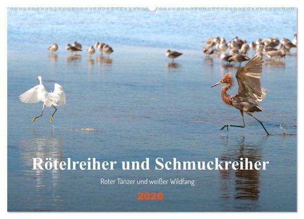 Produktbild: R&ouml;telreiher und Schmuckreiher (Wandkalender 2026 DIN A2 quer), CALVENDO Monatskalender