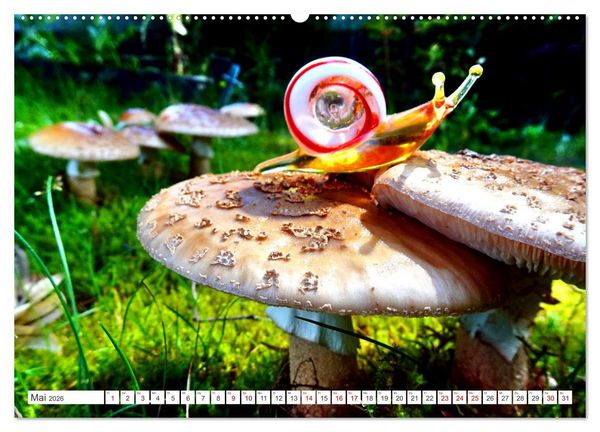 Produktbild: Pilz-Tiere (Wandkalender 2026 DIN A2 quer), CALVENDO Monatskalender