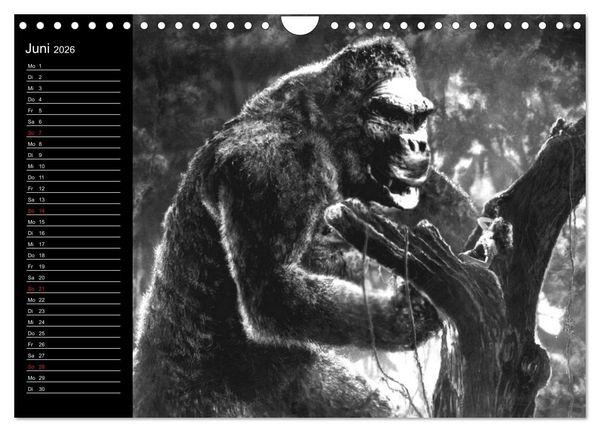 Produktbild: Kultfilme - schwarz-wei&szlig;e Klassiker (Wandkalender 2026 DIN A4 quer), CALVENDO Monatskalender
