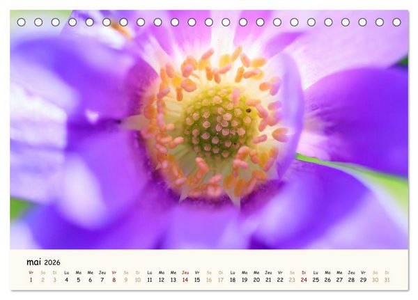 Produktbild: Au c&oelig;ur des fleurs (Calendrier de bureau 2026 DIN A5 vertical), CALVENDO calendrier mensuel