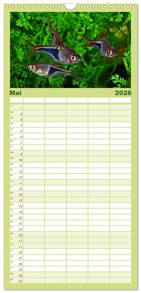 Produktbild: Familienplaner 2026 - Beliebte Fische der Welt mit 5 Spalten (Wandkalender, 21 x 45 cm) CALVENDO