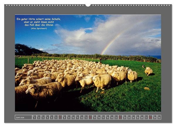 Produktbild: Naturwunder Neuseeland - in Bild und Text (Wandkalender 2026 DIN A2 quer), CALVENDO Monatskalender