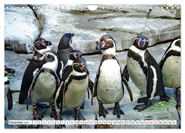 Produktbild: Tierische Fracktr&auml;ger (Wandkalender 2026 DIN A4 quer), CALVENDO Monatskalender