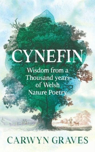 Produktbild: Cynefin