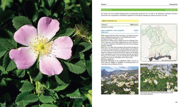 Produktbild: Flora von Bayern