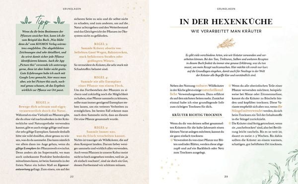Produktbild: Zaubernuss und Waldmagie &ndash; Naturmomente f&uuml;r deine Seele
