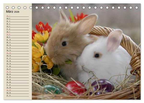 Produktbild: Kaninchen und Hasen (Tischkalender 2026 DIN A5 quer), CALVENDO Monatskalender