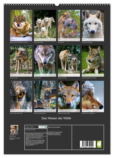Produktbild: Das Wesen der W&ouml;lfe (hochwertiger Premium Wandkalender 2026 DIN A2 hoch), Kunstdruck in Hochglanz