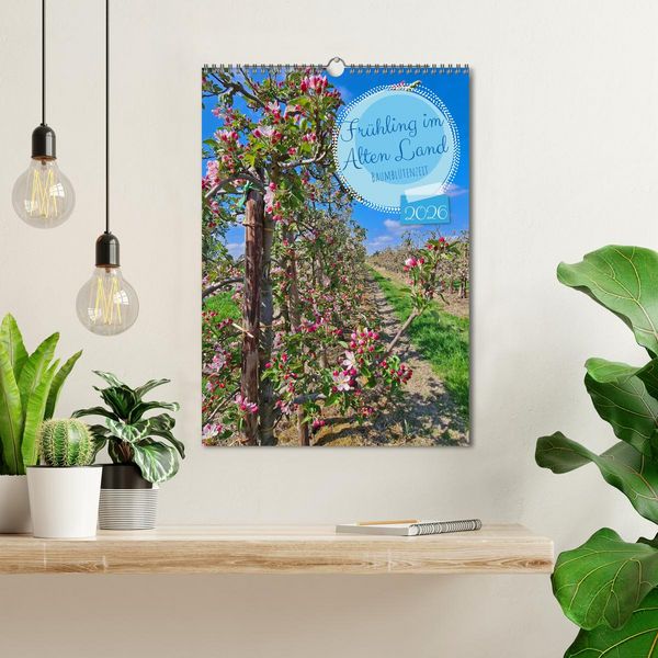 Produktbild: Fr&uuml;hling im Alten Land - Baumbl&uuml;tenzeit (Wandkalender 2026 DIN A3 hoch), CALVENDO Monatskalender