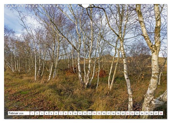 Produktbild: Wintertage auf Norderney (Wandkalender 2026 DIN A3 quer), CALVENDO Monatskalender