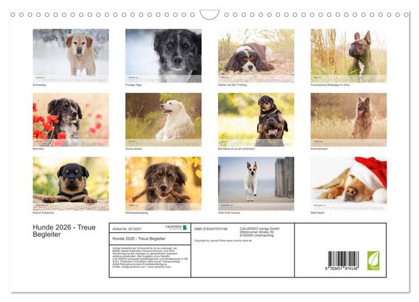 Produktbild: Hunde 2026 - Treue Begleiter (Wandkalender 2026 DIN A3 quer), CALVENDO Monatskalender