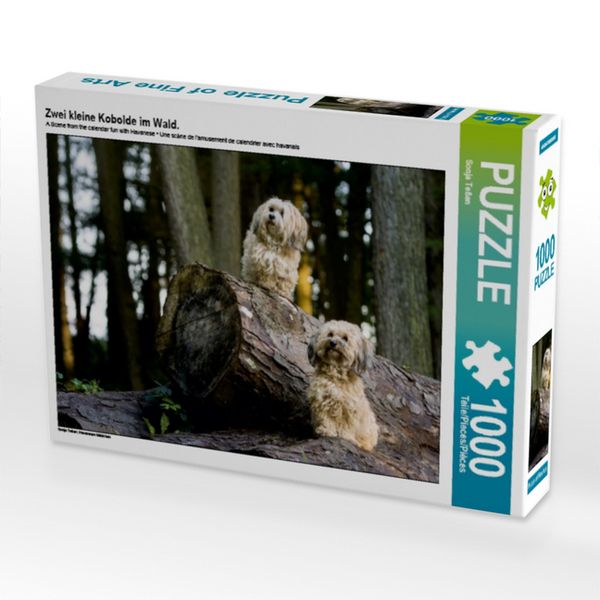 Produktbild: CALVENDO Puzzle Zwei kleine Kobolde im Wald. | 1000 Teile Lege-Gr&ouml;&szlig;e 64x48cm Foto-Puzzle f&uuml;r gl&uuml;ckliche Stunden