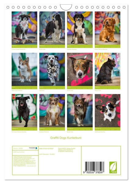 Produktbild: Graffiti Dogs Kunterbunt (Wandkalender 2026 DIN A4 hoch), CALVENDO Monatskalender