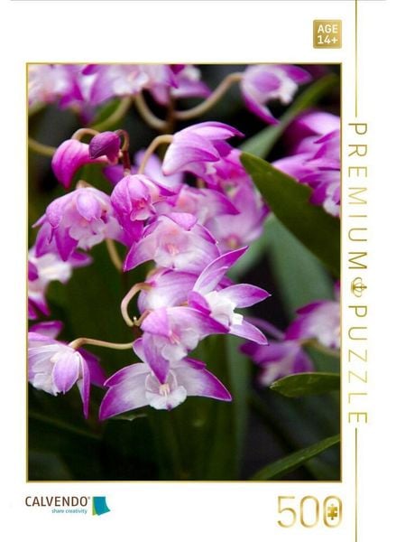 CALVENDO Puzzle Cymbidium | 500 Teile Lege-Größe 48 × 36 cm Foto-Puzzle für Erwachsene