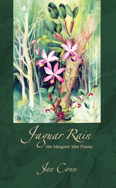 Produktbild: Jaguar Rain