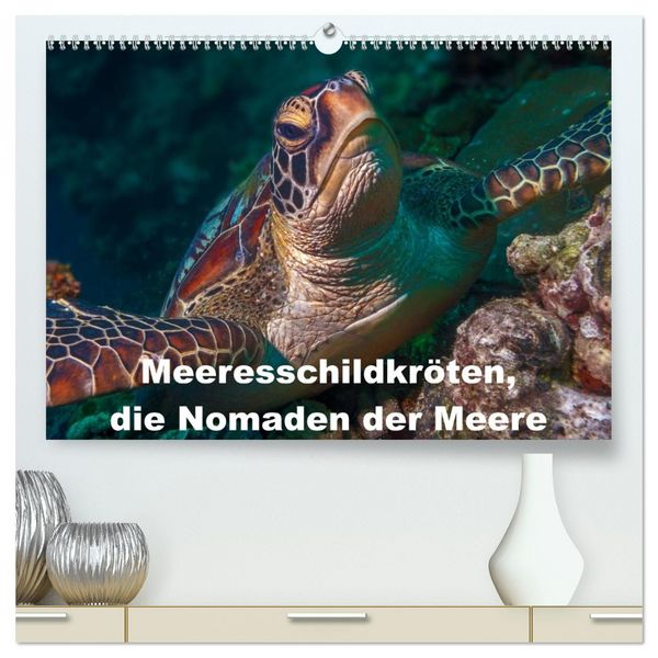 Meeresschildkröten, die Nomaden der Meere (hochwertiger Premium Wandkalender 2026 DIN A2 quer), Kunstdruck in Hochglanz