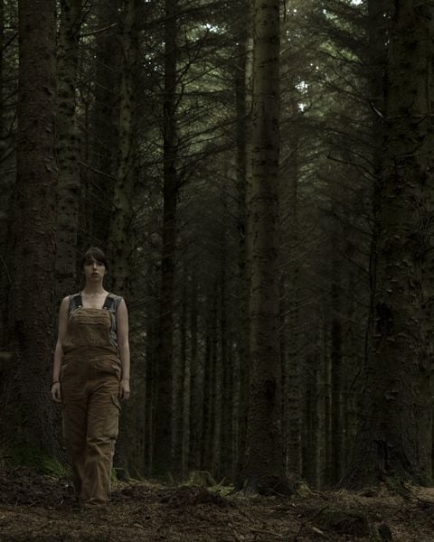 Produktbild: The Hole in the Ground