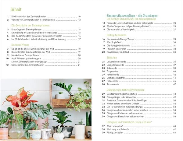 Produktbild: 101 Dinge, die Du &uuml;ber Zimmerpflanzen wissen musst