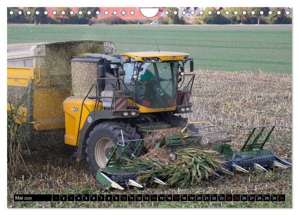Produktbild: MAIS ERNTE (Wandkalender 2026 DIN A4 quer), CALVENDO Monatskalender