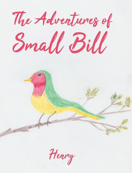 Produktbild: The Adventures of Small Bill