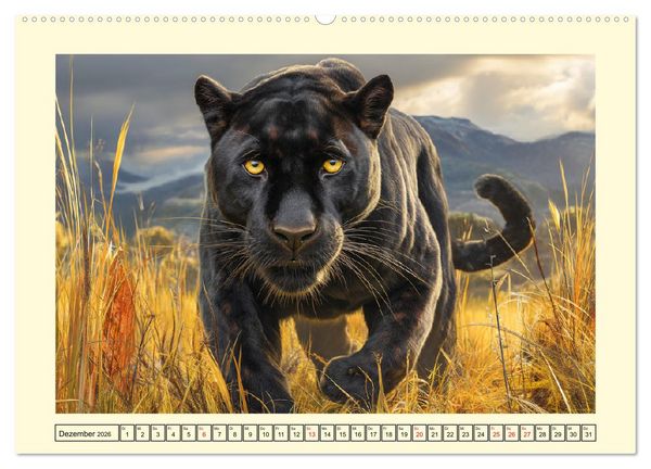 Produktbild: Schwarze Panther. Geheimnisvolle Schatten der Wildnis (Wandkalender 2026 DIN A2 quer), CALVENDO Monatskalender