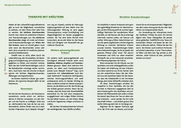 Produktbild: Frei von Stress durch die Heilung der Mitte