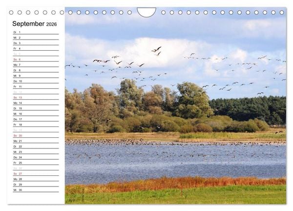 Produktbild: Die Jahreszeiten im Havelland (Wandkalender 2026 DIN A4 quer), CALVENDO Monatskalender
