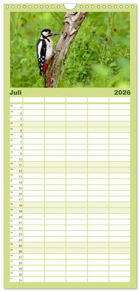 Produktbild: Familienplaner 2026 - V&ouml;gel mit 5 Spalten (Wandkalender, 21 x 45 cm) CALVENDO