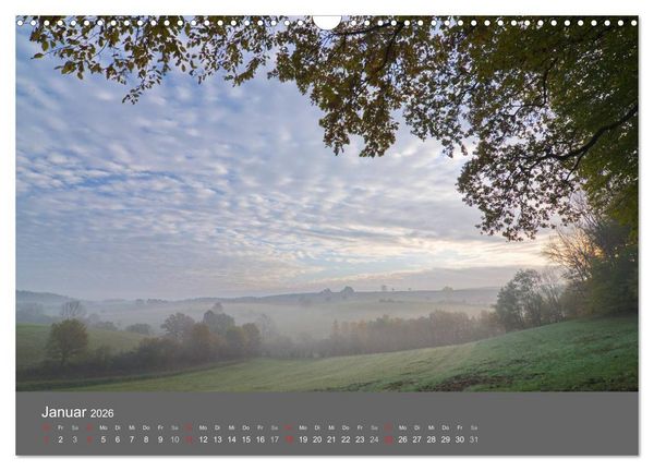 Produktbild: B&auml;ume (Wandkalender 2026 DIN A3 quer), CALVENDO Monatskalender