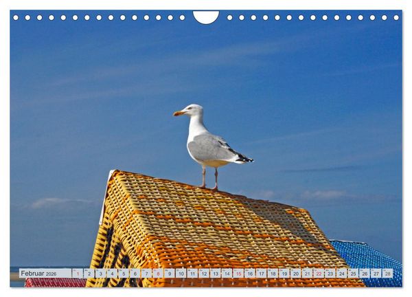 Produktbild: Langeoog - Natur Pur (Wandkalender 2026 DIN A4 quer), CALVENDO Monatskalender