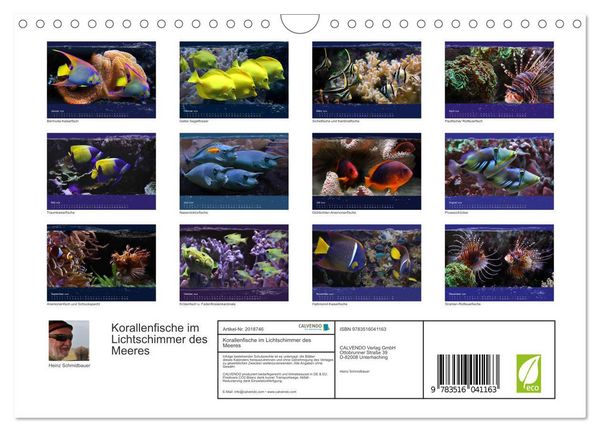 Produktbild: Korallenfische im Lichtschimmer des Meeres (Wandkalender 2026 DIN A4 quer), CALVENDO Monatskalender