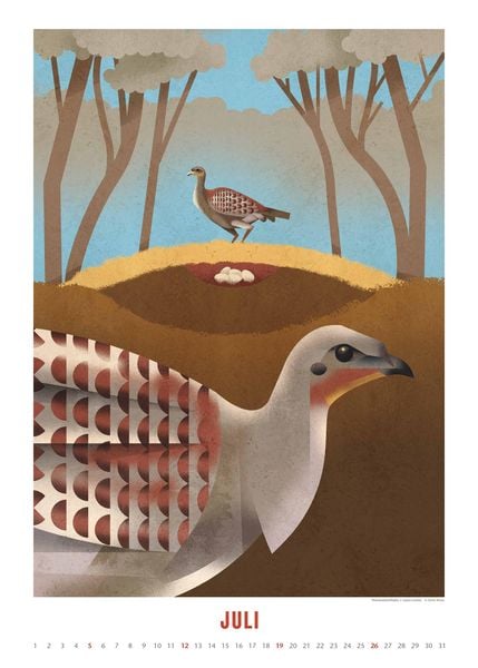 Produktbild: Dieter Braun: Die Welt der Tiere 2026 – Wandkalender – Format 50x70 cm