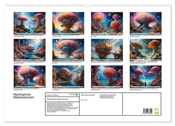 Produktbild: Mykologische Metamorphosen (Wandkalender 2027 DIN A2 quer), CALVENDO Monatskalender