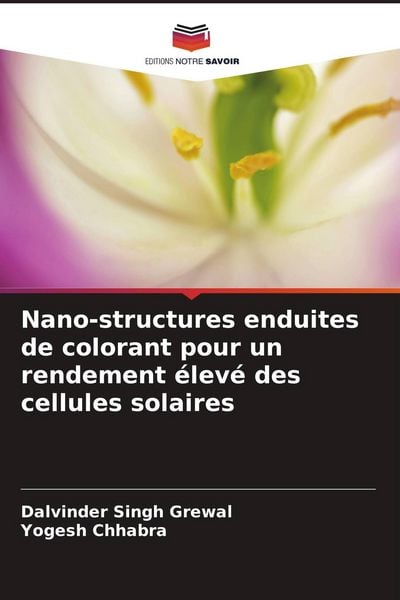 Produktbild: Nano-structures enduites de colorant pour un rendement &eacute;lev&eacute; des cellules solaires