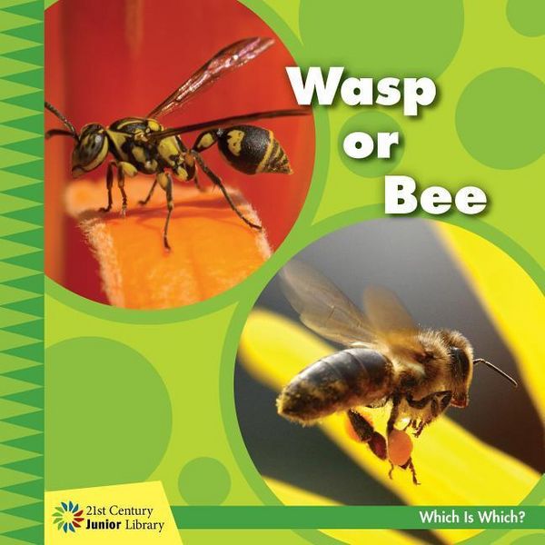 Produktbild: Wasp or Bee