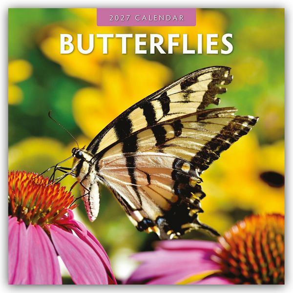 Produktbild: Butterflies &ndash; Schmetterlinge 2027 &ndash; 16-Monatskalender